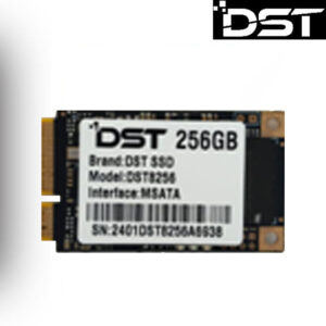 DST MSATA 256GB
