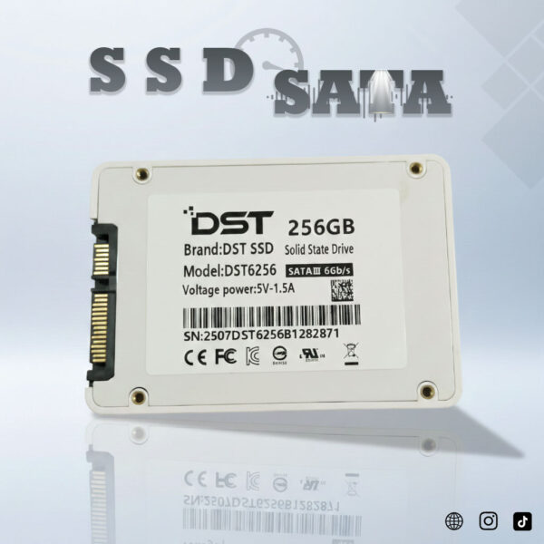 DST SSD SATA III 256GB