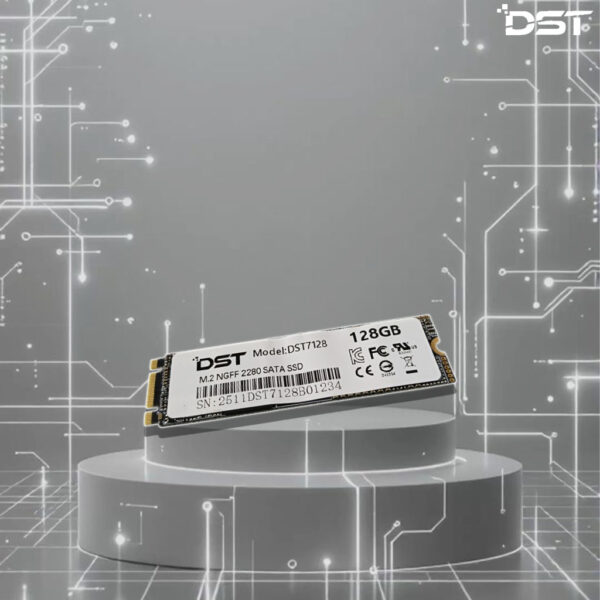 DST M2SATA 256GB
