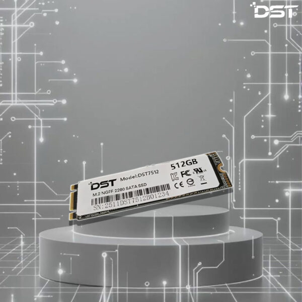 DST M2SATA 512GB