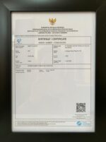 Smart Glasess